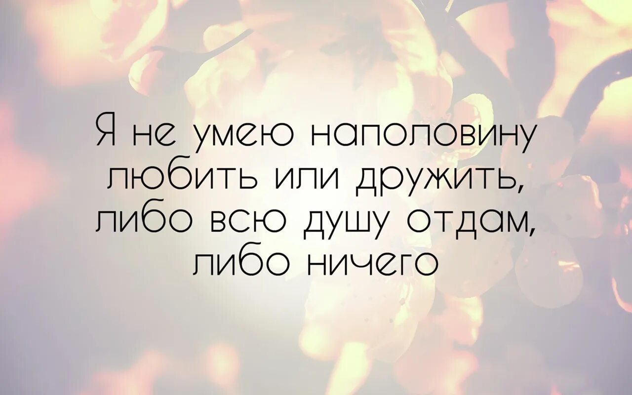 Люди разучились любить цитата. Я не умею дружить цитаты. Не умею любить наполовину. Я не умею любить. Любящий себя способен любить