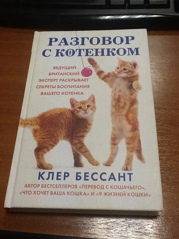 Книги по воспитанию кошек. Книги о воспитании кошек. Воспитание котенка. Советы по воспитанию кошек.