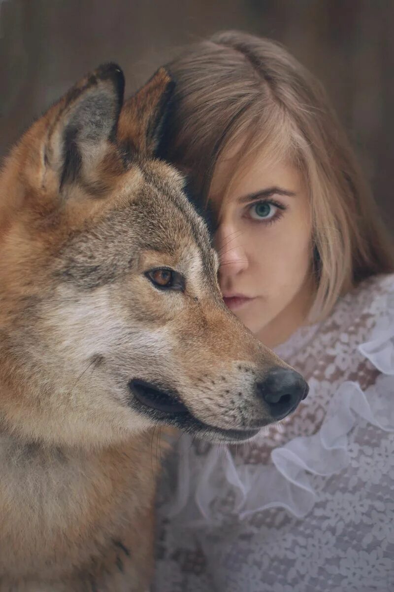 Найти девушек с животными. Фотограф: katerina plotnikova. девочка и волк. красивые девушки с животными.