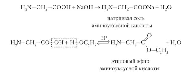 Асино уксусная кислота -натриевая соль аииноуксусной кислоты. Натриевая соль аминоуксусной кислоты. Аминоуксусная кислота и гидроксид кальция. Реакции с аминоуксусной кислотой.