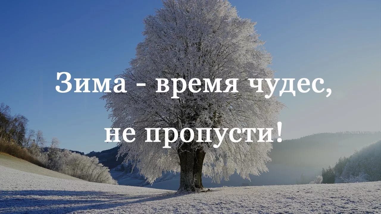 Зимний слоган. Цитаты про зиму. Высказывания о зиме. Красивые высказывания о зиме. Мудрые мысли про зиму.