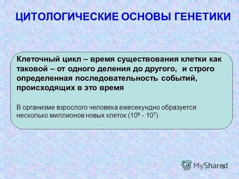 Наследственная основа организма