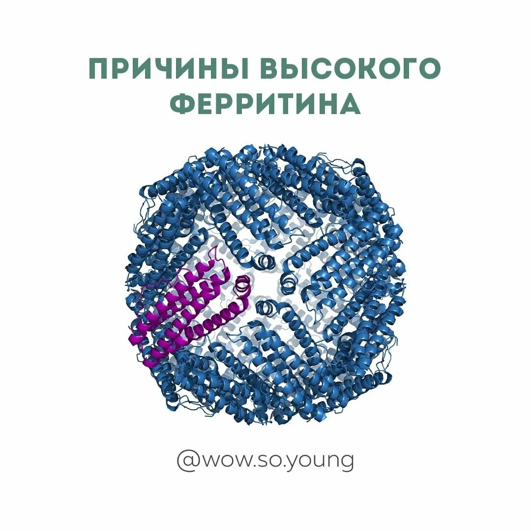 Высокий ферритин. Психосоматика низкого ферритина. Психосоматика низкого ферритина. Психосоматика низкого ферритина. Ферритин в организме.