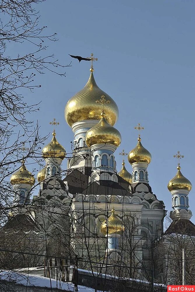 Фото куполов храмов. Купола церквей с13куполом. Кемерово золотые купола Церковь. Храм с золотыми куполами Тюмени. Золотые купола Сыктывкар.