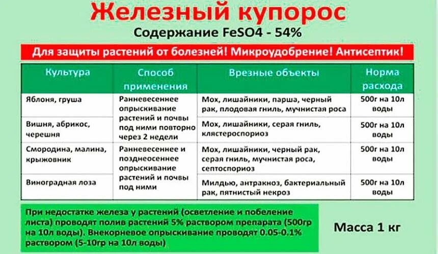 Опрыскивание сада медным купоросом. Развести медный купорос для обработки деревьев. Железный купорос для обработки деревьев. Железный купорос разведение для обработки садовых деревьев. Железный купорос для обработки деревьев весной.