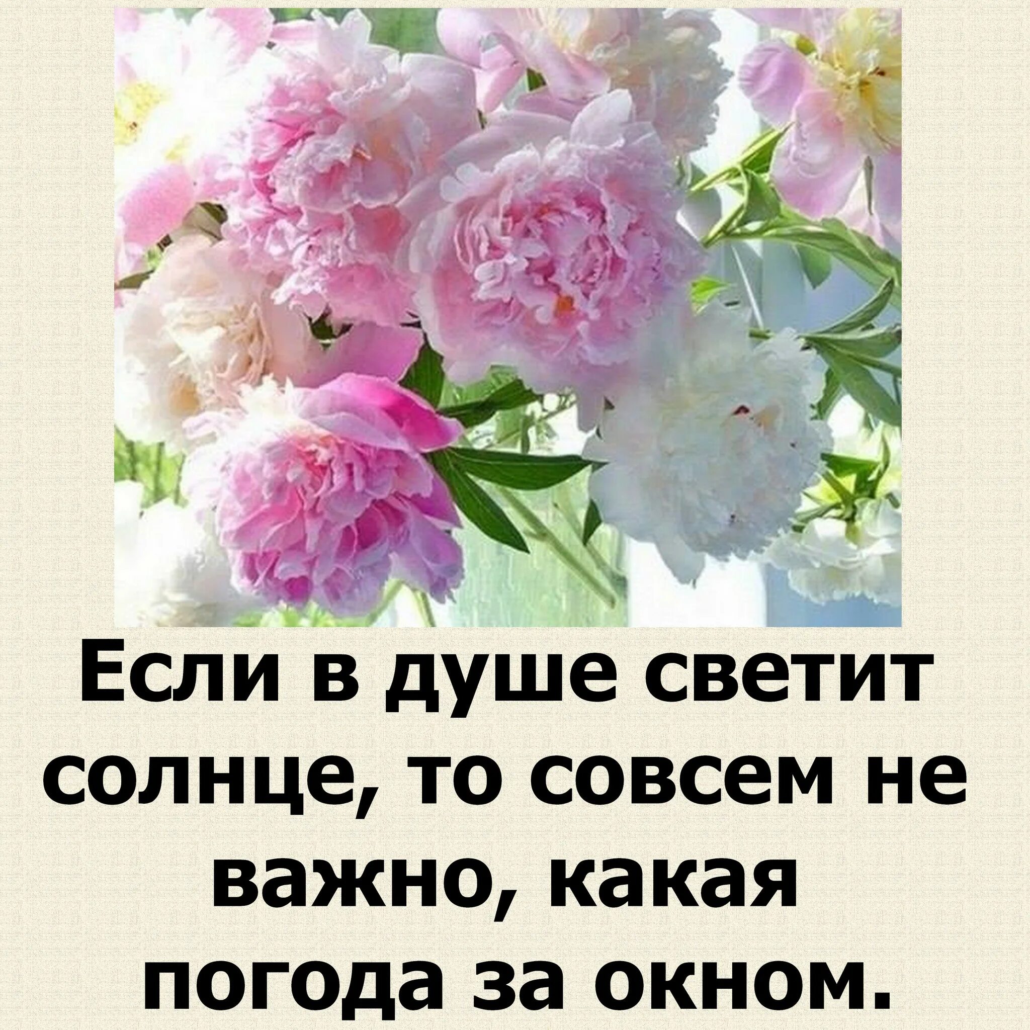 Несмотря на погоду хорошего дня и настроения. Хоршего настроения не смотря на погоду. Отличного настроения несмотря на пого. Хорошего дня в любую погоду.