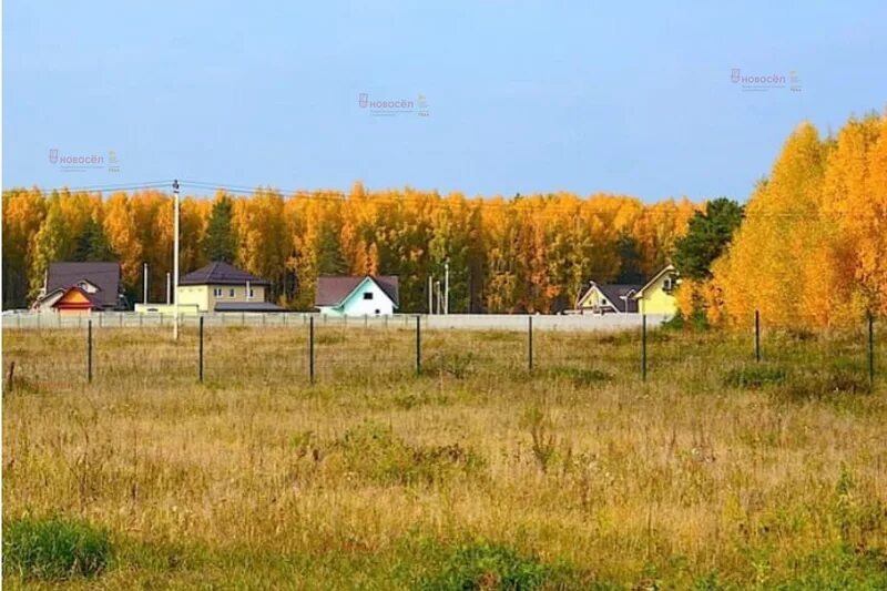 Гусева деревня свердловская область