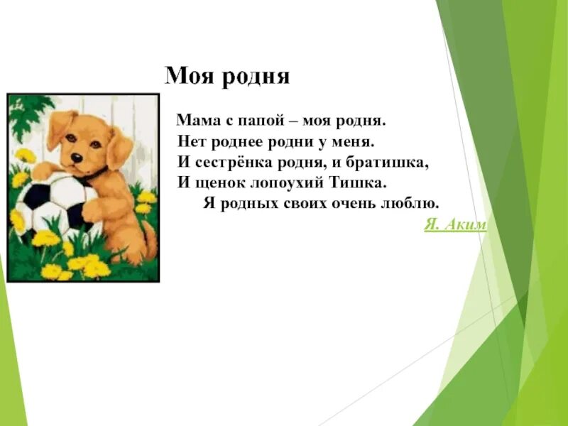 Я акима моя родня стихотворение. Моя родня стих. Чтение стихотворения я акима моя родня.