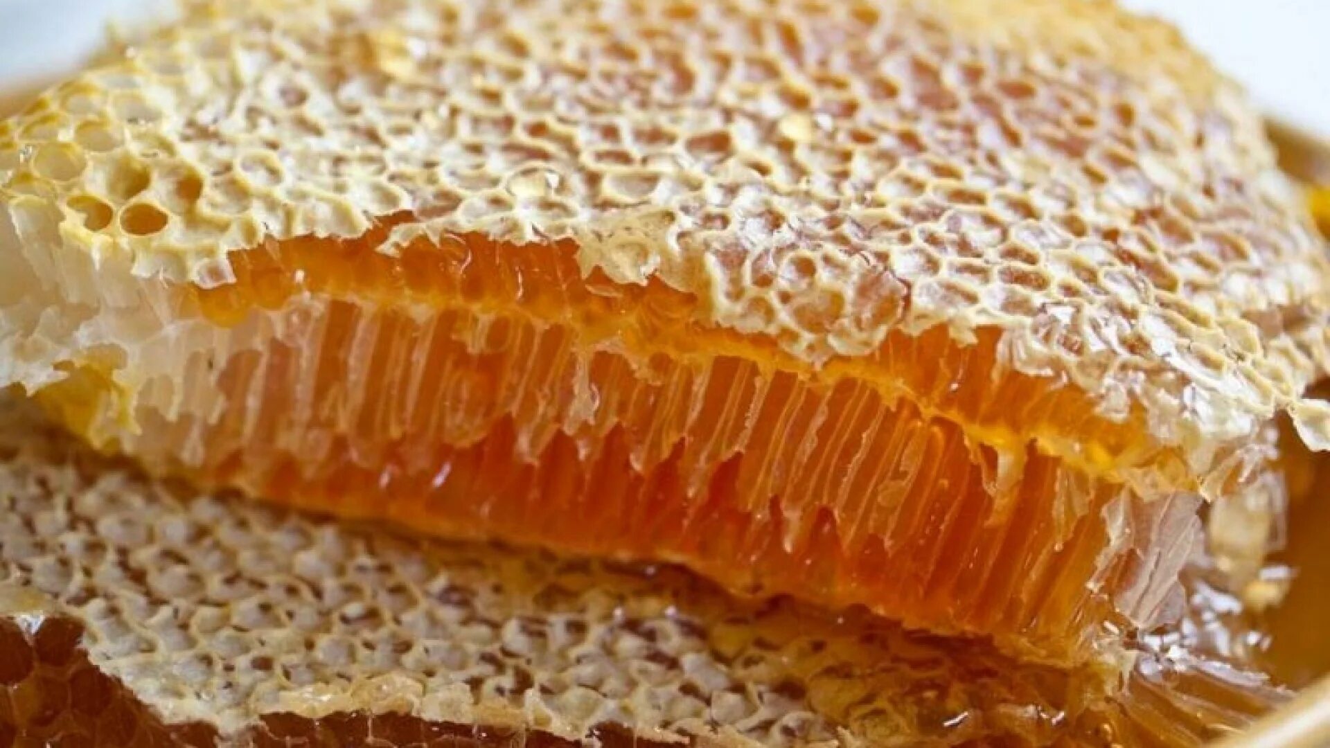 Мёд в сотах. Соты меда. Пчелиный мед в сотах. Пчелиный воск в сотах.