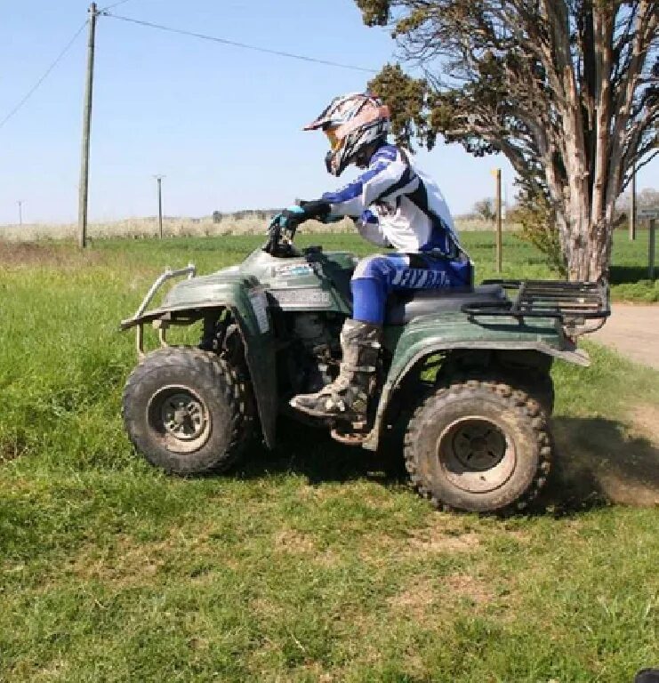 Yamaha yfm660fwa. Bear 250. Bear 250. Yamaha grizzly atv 250cc. Yamaha bear tracker 250.
