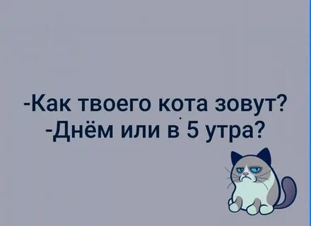 Не будь как котик