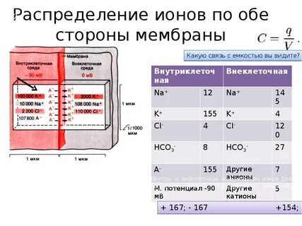 Почему иона