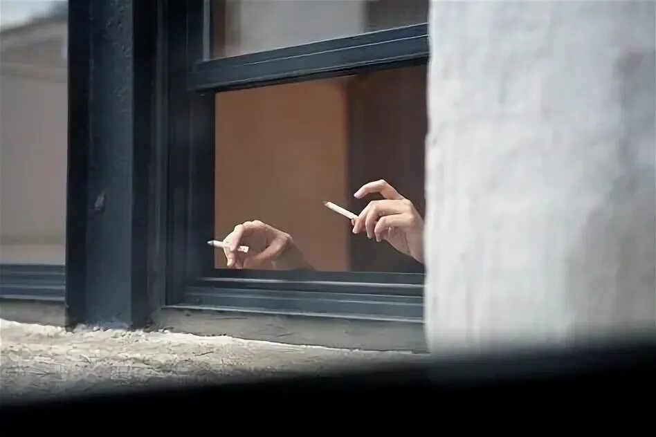 Cigarettes out the window tv girl альбом. Tv girl - cigarettes out the window (speed up). Emma peters love. Cigarette out the window вальс. Cigarettes out the window обложка.