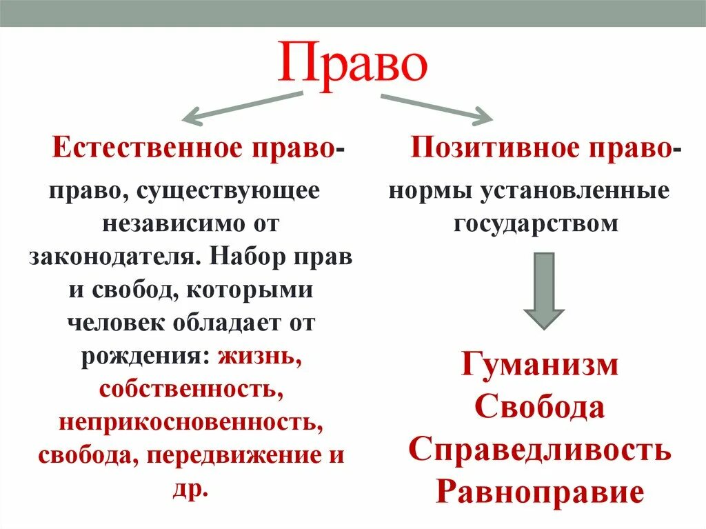 Позитивное право и естественное право различия