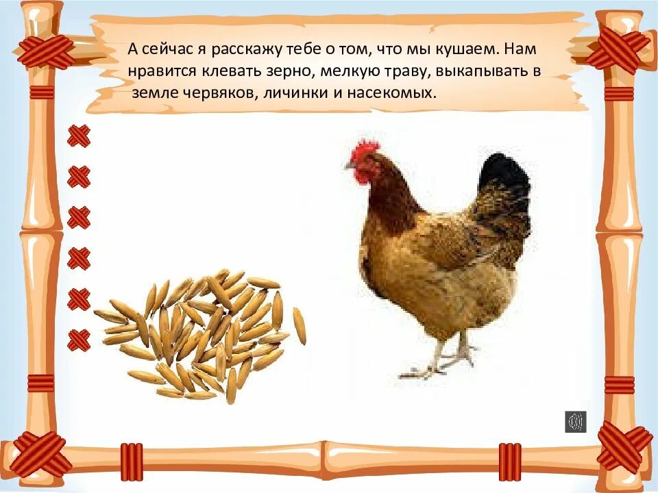 Курочка значение