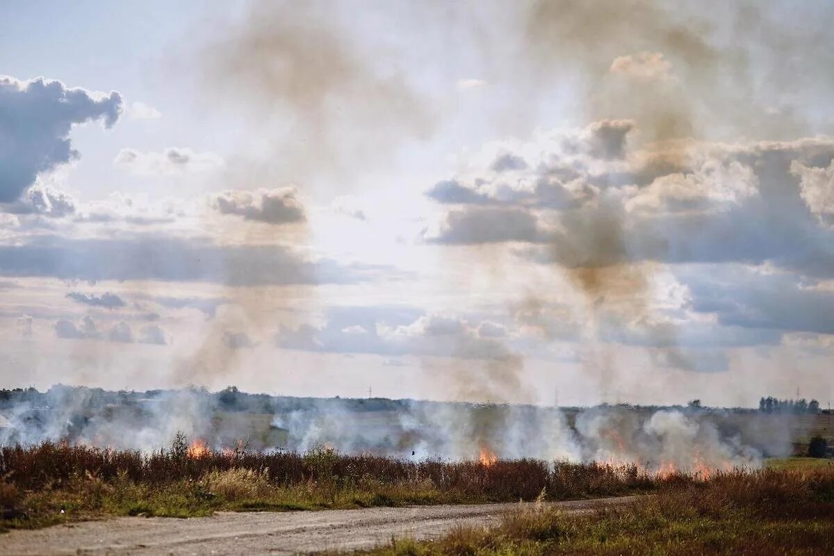 Поле горит. Горящее поле. Пожар на природе. Огненное поле. Сжигание полей