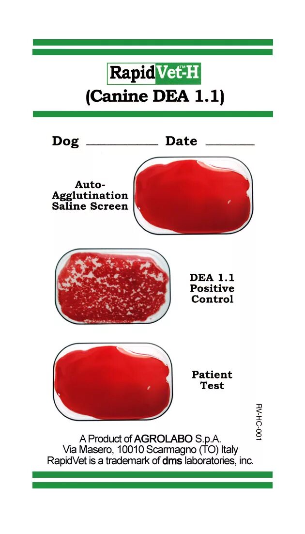 Определение группы крови у собак. Тест на группы крови кошек. Группы крови собак таблица. Определение групп крови у кошек. Группа крови у собак