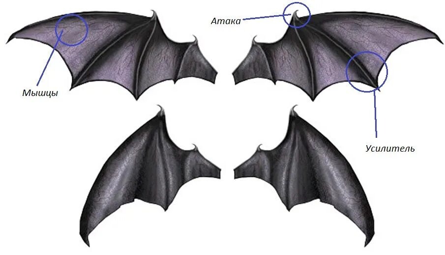 Сколько валют крыло летучей мыши мм2. Демонические Крылья. Дьявольские Крылья. Крылья вампира. Крылья летучей мыши.