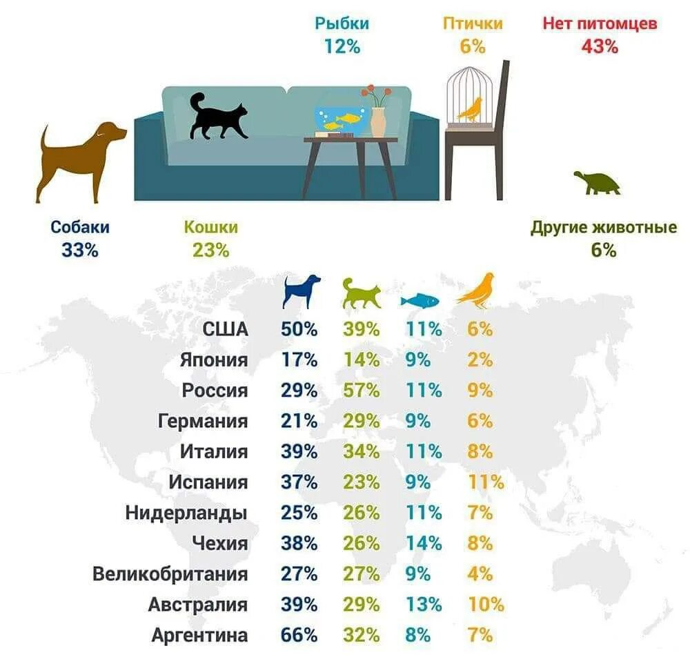 Статистика котов. Самые распространённые домашние животные. Самые популярные домашние животные статистика. Самые распространенные домашние животные в России. Домашние животные в России статистика.