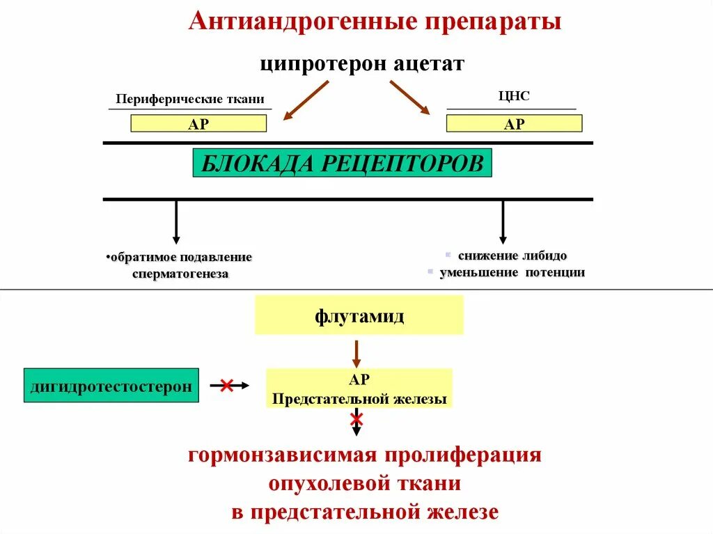 Антиандрогены препараты. Антиандрогены препараты. Антиандрогены. Агонисты лгрг препараты. Препараты половых гормонов андрогенов.