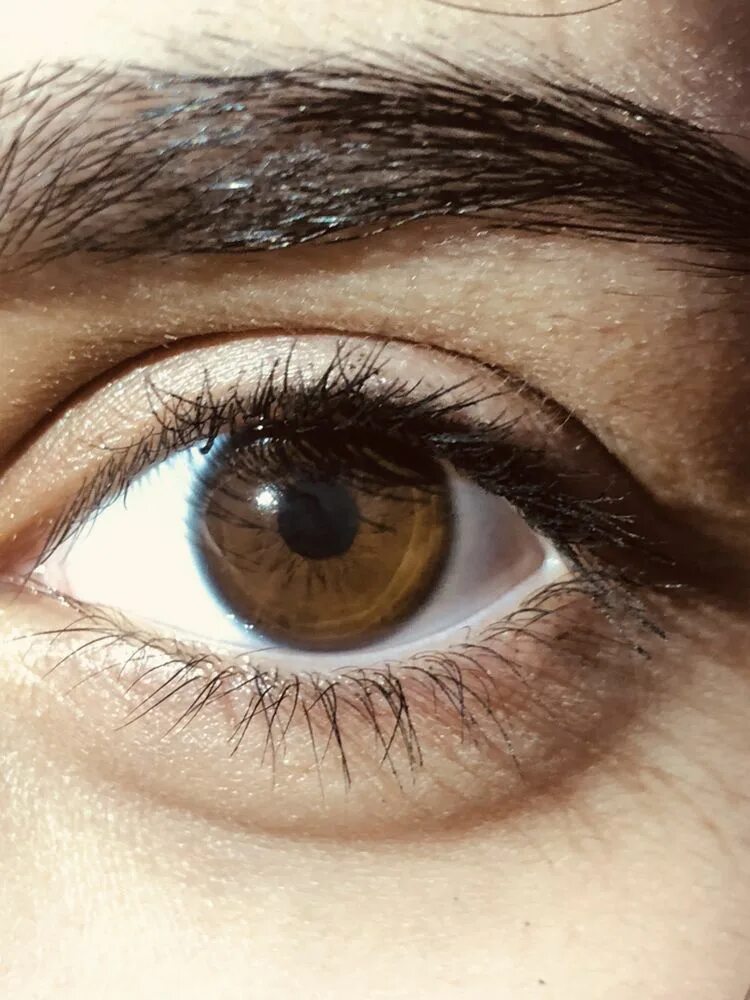 Карие или карии. Карие глаза. Карий цвет глаз. Коричневые глаза. Светло коричневые глаза.