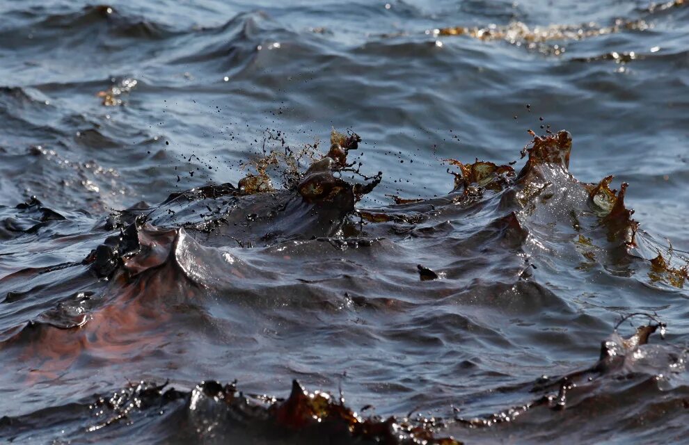 В воде гибнут. Экологическая катастрофа в море разлив нефти. Новороссийский разлив нефти. Разлив нефти в море Новороссийск. Загрязнени чёрного моря нефтепродуктами.