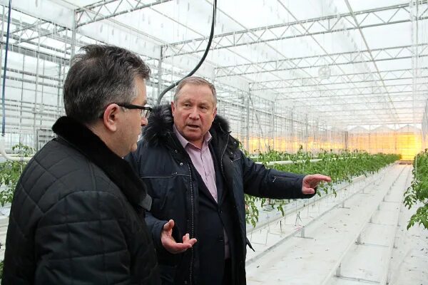 Пригородный сыктывкар сайт. Совхоз Пригородный Сыктывкар. Ферма Совхоз Пригородный Сыктывкар. ООО Пригородный Сыктывкар директор. ООО Пригородный ферма Сыктывкар.