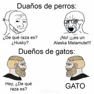Los memes