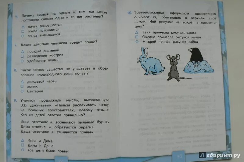 Тесты 3 класс окружающий мир Плешаков Тихомирова. Окружающий мир 3 класс Тихомирова. Тесты по предмету окружающий мир 3 класс Тихомирова. Тест по окружающему миру 3 класс в царстве грибов.