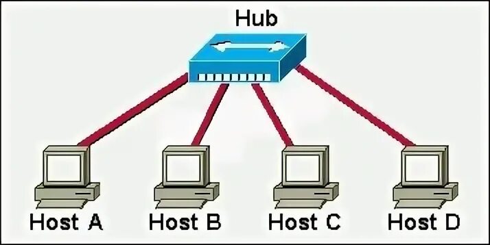 Host b