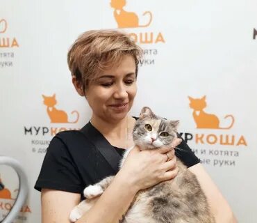 Муркоша