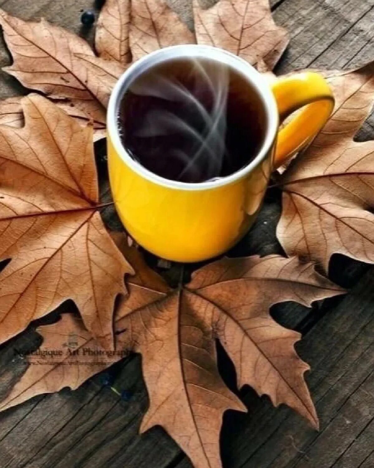 Однажды осенним утром. Осенний кофе. Осень кофе. Чашка кофе осень. Доброе утро осень.