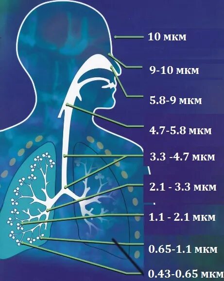 Размеры частиц аэрозолей для ингаляций. Омрон 300 небулайзер. Средний размер частиц аэрозоля. Размер частиц для небулайзера. Ингалятор размер частиц.