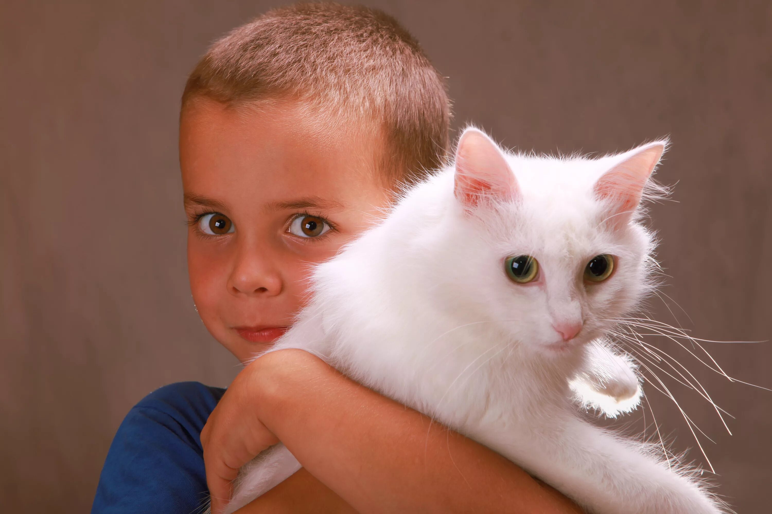 I play with cat. Кошка мальчик. Мальчик с котом. Мальчик и белый кот.