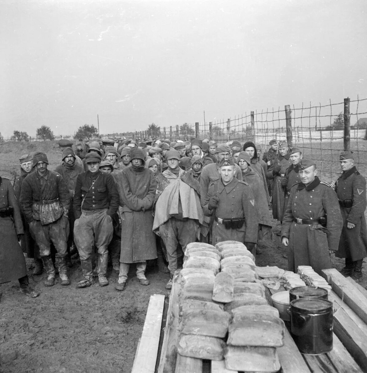 Лагеря военнопленных в 1941. Вяземский лагерь дулаг-184. Где находятся пленные. Лагерь шталаг viii e 308. Венгерские военнопленные 1944.