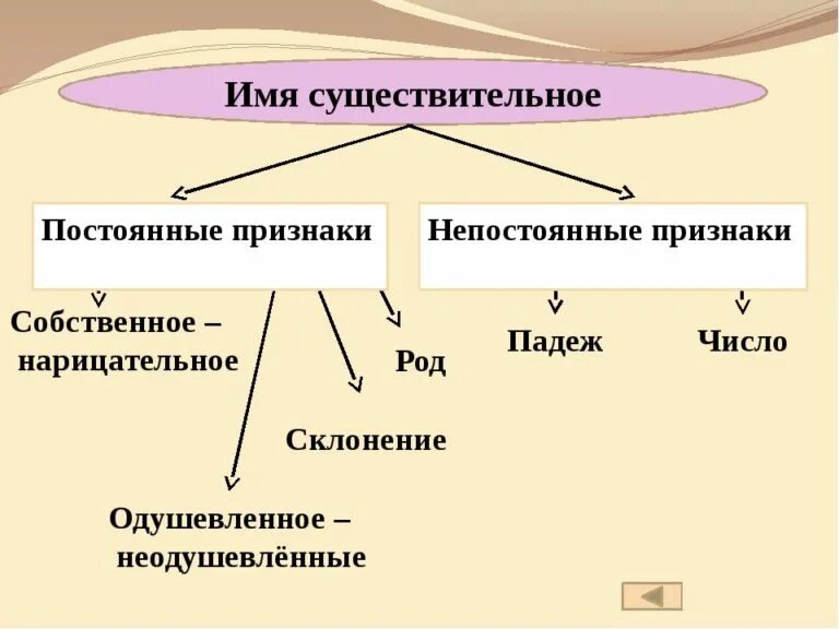 Какие бывают постоянные. Постоянные непостоянные морфологические признаки существительного. Имя существительное постоянные и непостоянные признаки. Постоянные признаки и непостоянные признаки существительного. Постоянные морфологические признаки имён существительных.