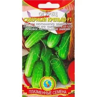 Северен огурец отзывы