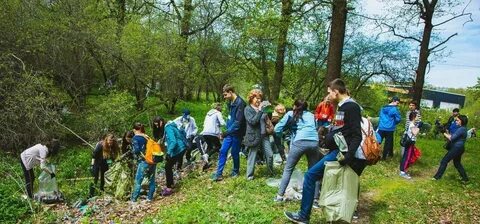 Квест по экологии