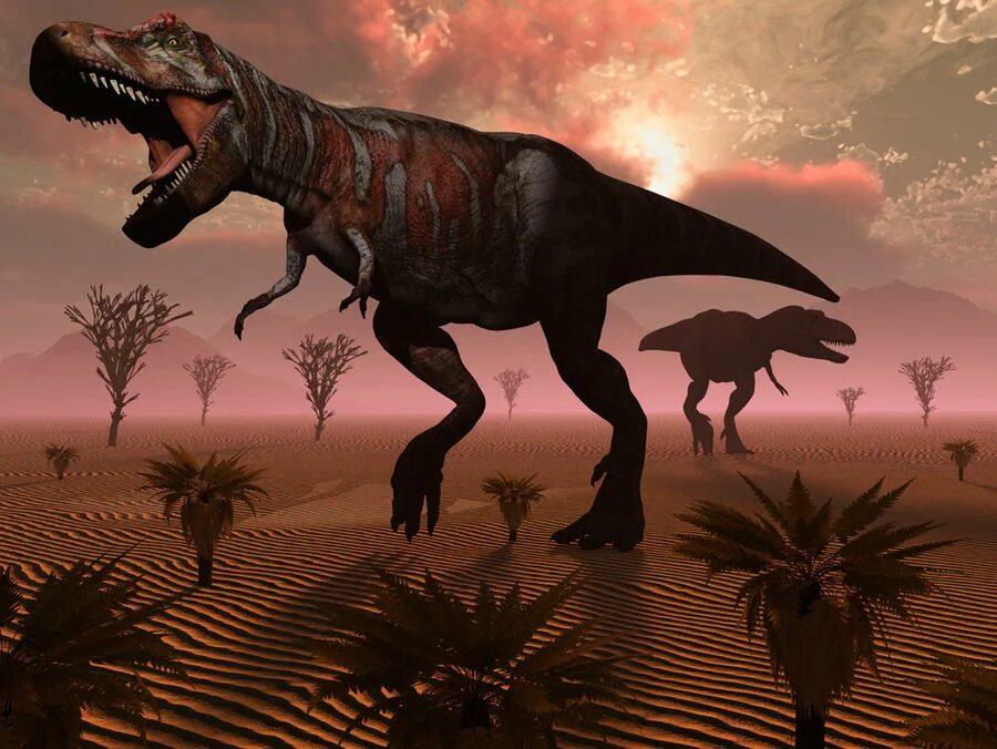 Мезозойская Эра вымирание динозавров. Тираннозавр меловой период. Меловой период вымирание динозавров. Мел-Палеогеновое вымирание. Что убило динозавров
