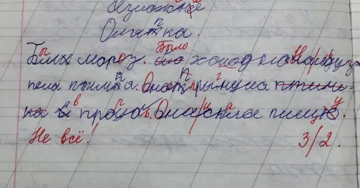 Много ошибок в произведении. Ошибка в тетради. Исправления в тетради. Двойка в тетради по русскому языку. Смешные ошибки в диктантах.