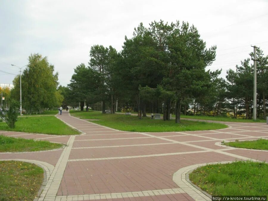 Сургут парк фото. Парк энергетиков сургут. Сургут парк фото. Сургут парк фото. Сайма сургут парк зимой.