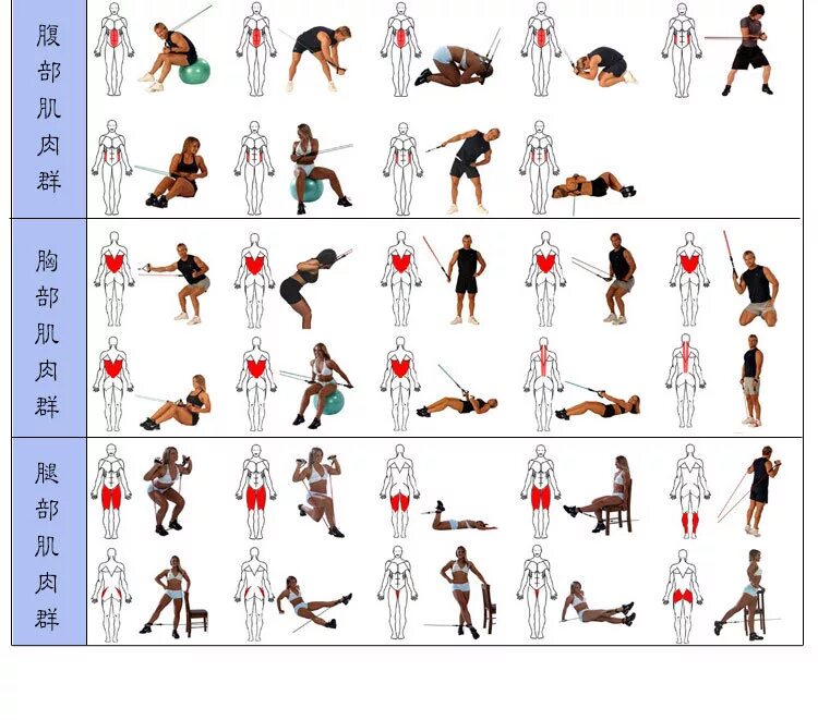 Упражнения с резинкой для мужчин. Упражнения для мужчин. Эспандер бубновского. Упражнениярезиновымиспандером. Занятия с ленточным эспандером для мужчин.