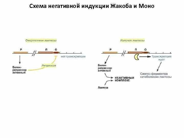 Стр моно. Стр моно