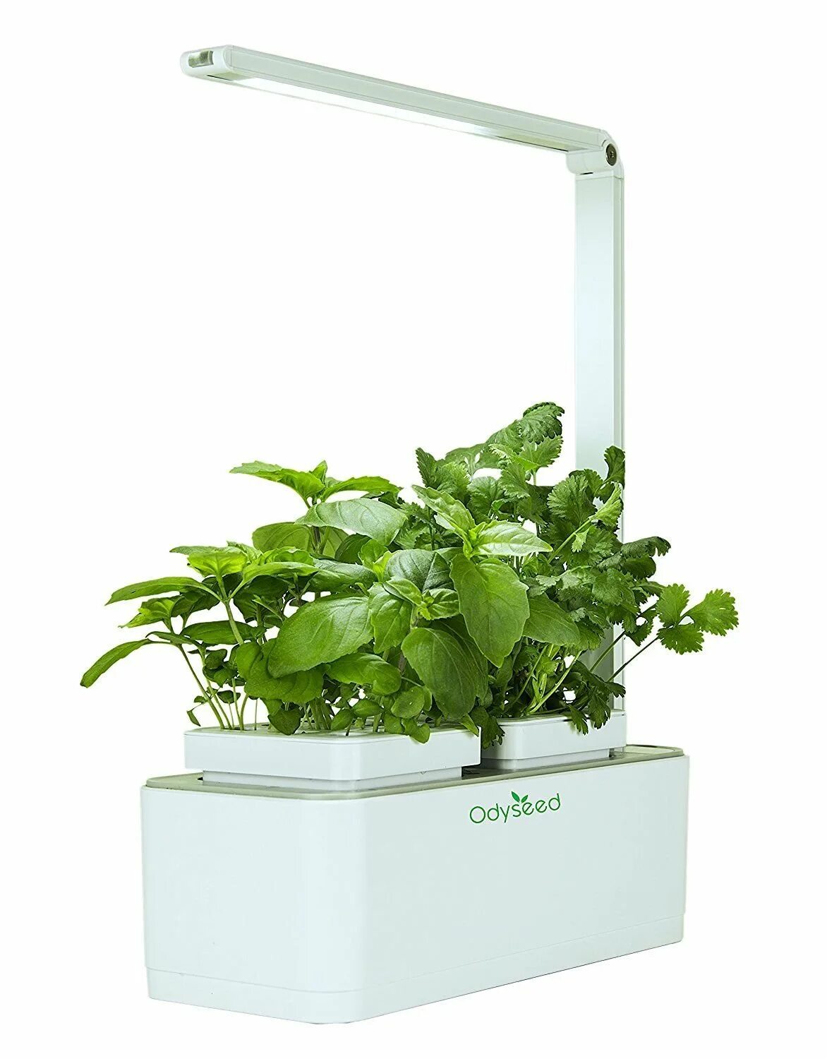 Smart plant. Смарт Гарден. Домашний огород. Американский домашний огород. Прозрачное кашпо «домашний огород» в ДОУ.