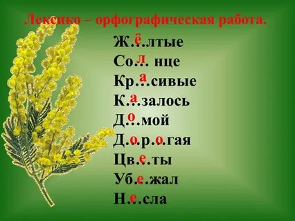 Три ветки мимозы