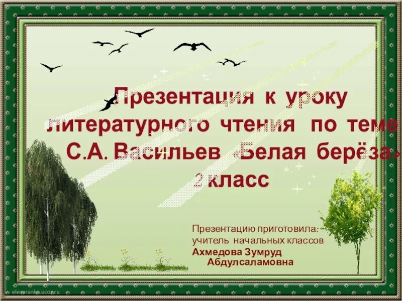 Белая береза стихотворение 2 класс васильев. Презентация Васильев белая береза. Белая берёза Васильев 2 класс. Васильев белые березы литература. С Васильев белая береза литературное чтение.