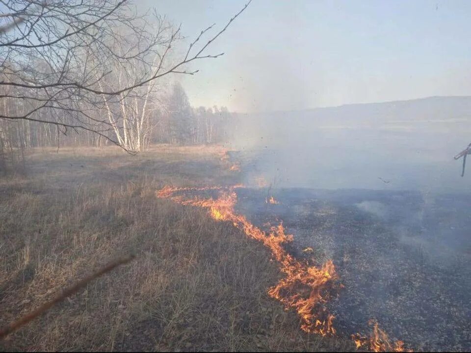 Лесные пожары в Якутии 2022. Пожар в лесу. Природные пожары в России. Пожар в тайге.