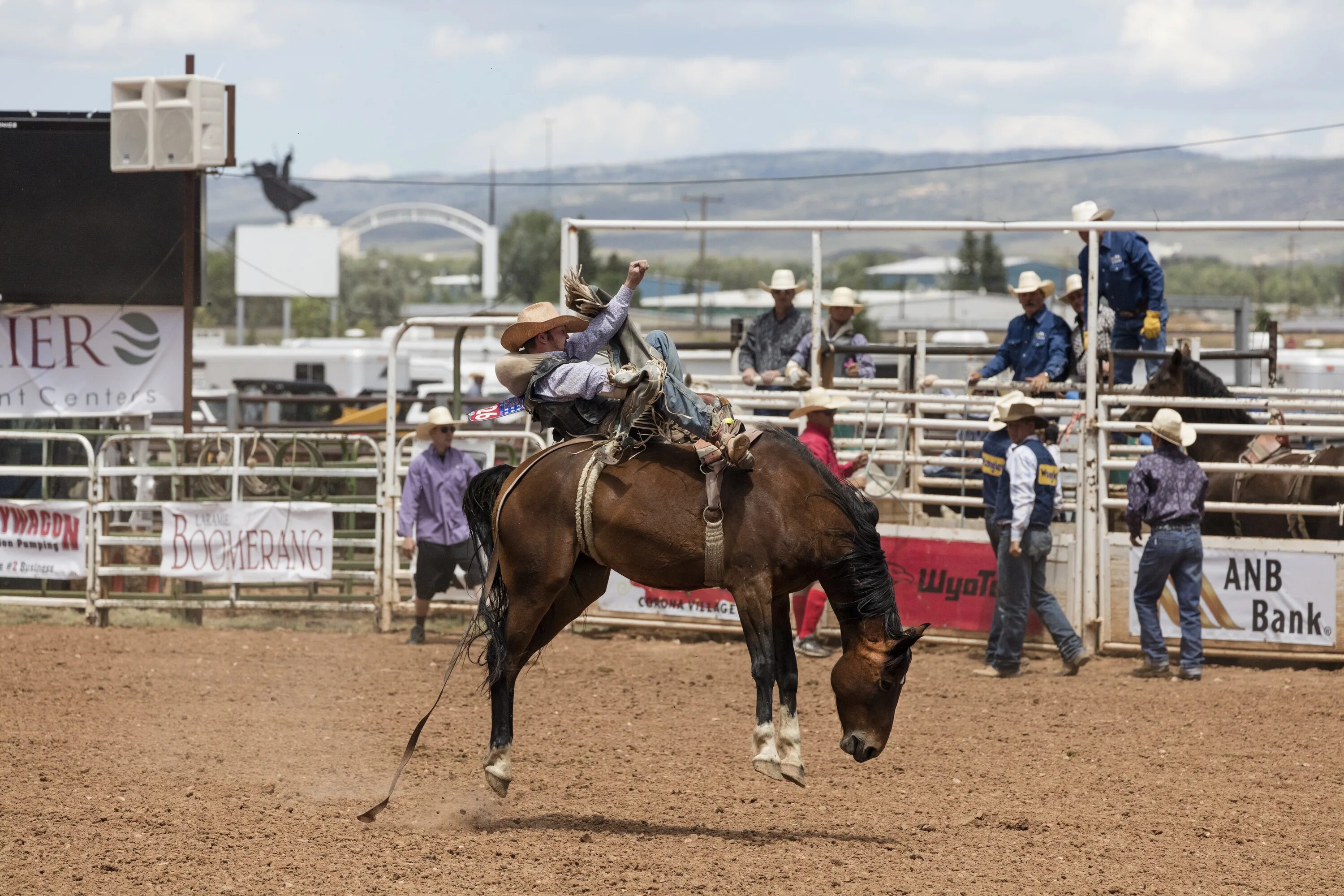 The rodeo is a really exciting event. Ковбой родео. Ковбойское спортивное состязание. Родео (спорт). Бронко лошадь.