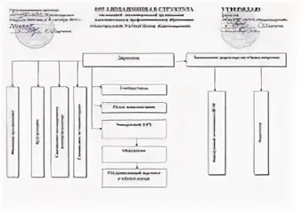 Управление автономной организацией