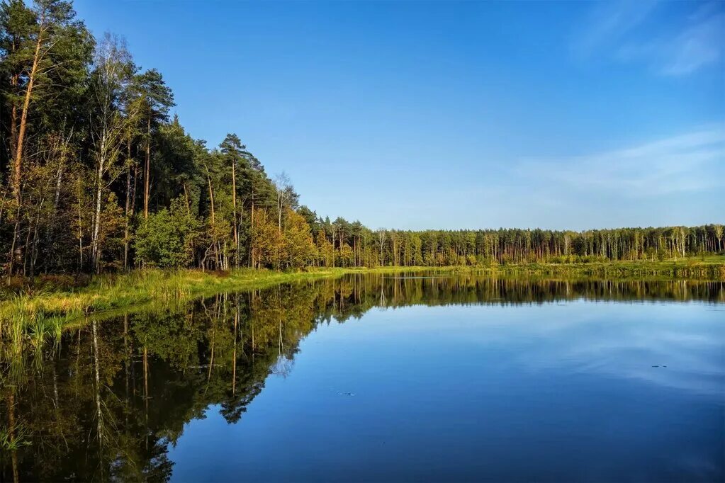 Номер мещеры. Мещерский лес парк. Мещерский парк Солнцево. Мещёрский национальный парк Москва. Мещерский природный парк Москва.